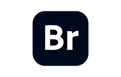 Adobe Bridge 2025 v15.1.0 中/英文版 Br 2025正式版 WIN64版本下载
