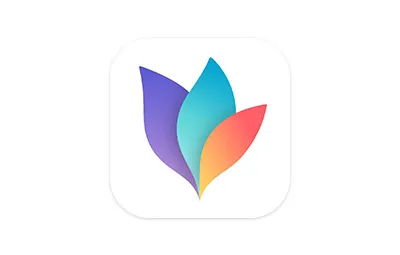 MindNode Next v2025.5 中文激活版 Mac思维导图软件
