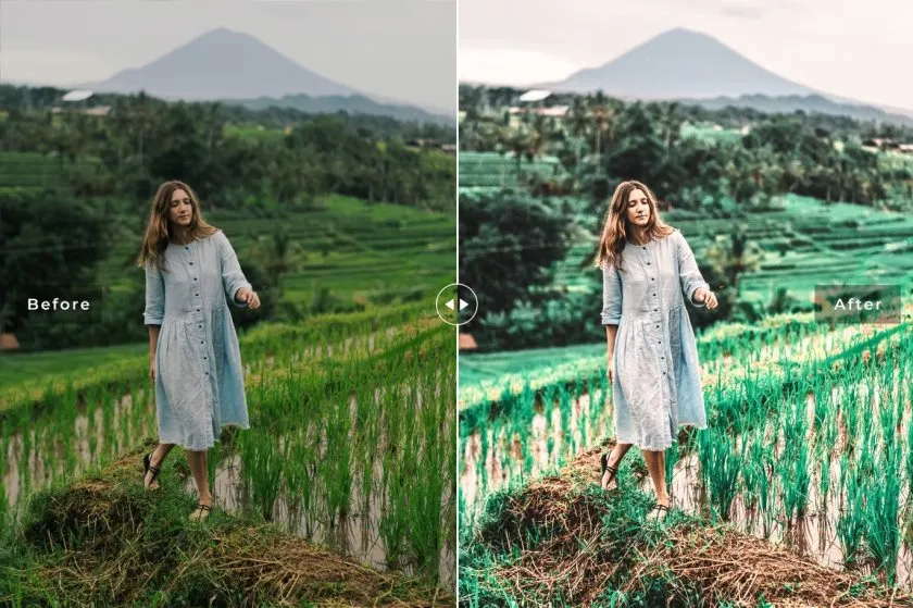 巴厘岛乌布旅拍人文风光Lightroom预设与移动版LR预设 Ubud Mobile & Desktop Lightroom Presets