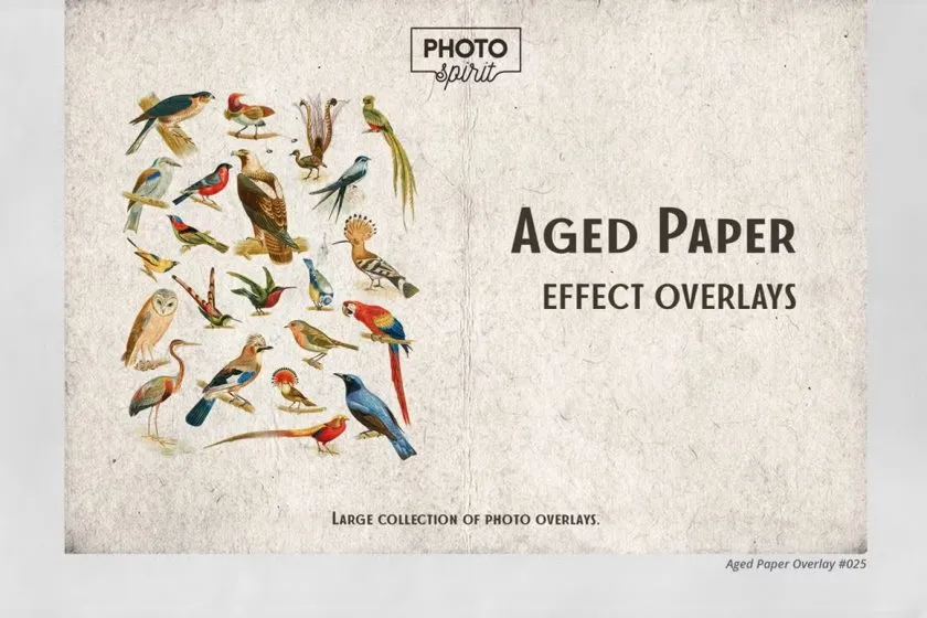 30张复古仿旧褶皱划痕纹理纸张背景叠加图片素材 Aged Paper Effect Overlays